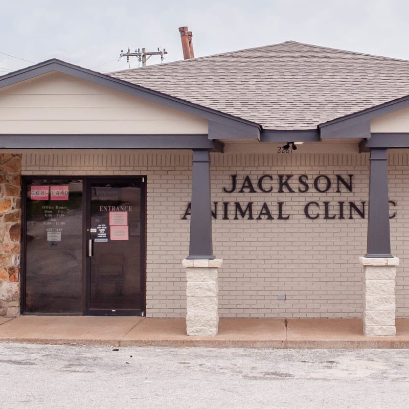 Jackson Animal Clinic in Jackson