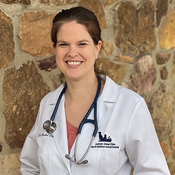 Dr. Rachel Day, Jackson Veterinarian